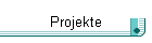 Projekte